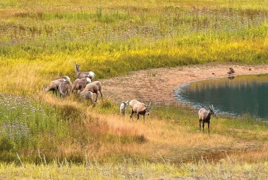 Rocky Mountain National Park Hike - Who This Hike Is For (and When to Choose Something Else)