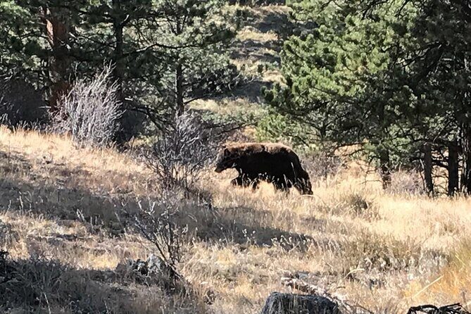 Rocky Mountain National Park in Summer Tour from Denver - Alpine Visitor Center: ranger info, gift shop, and 360-degree payoff