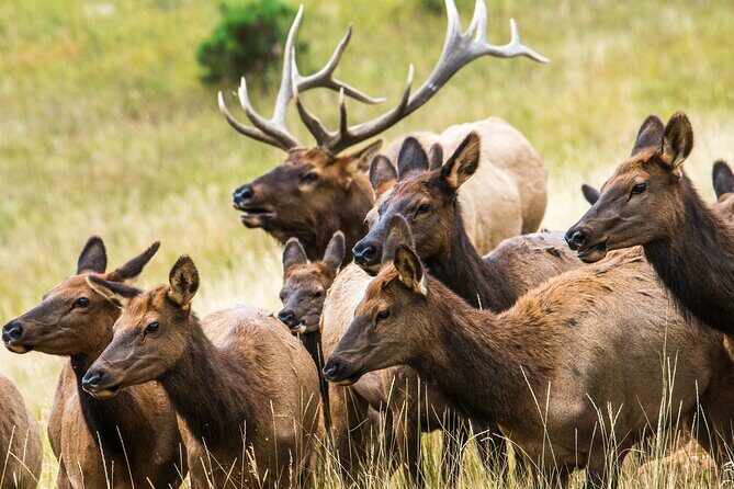 Rocky Mountain National Park - Private Hiking Tour - FAQ