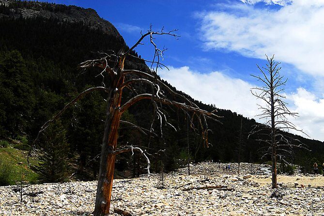 Small-Group Tour of the Rocky Mountain National Park from Denver - What the timing feels like on the day