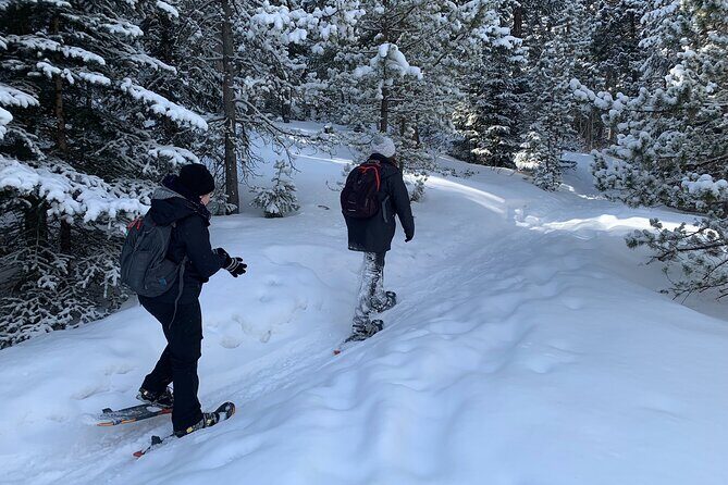 Snowshoeing Adventure in the Rocky Mountains Close to Denver - Check-In at Denver Adventures in Conifer: Gear Up and Get Ready