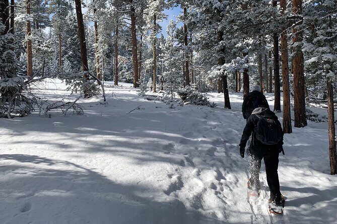 Snowshoeing Adventure in the Rocky Mountains Close to Denver - Beginner-Friendly…with One Important Reality Check