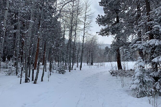 Snowshoeing Adventure in the Rocky Mountains Close to Denver - Price and Value: What $107.99 Covers (and What It Doesn’t)