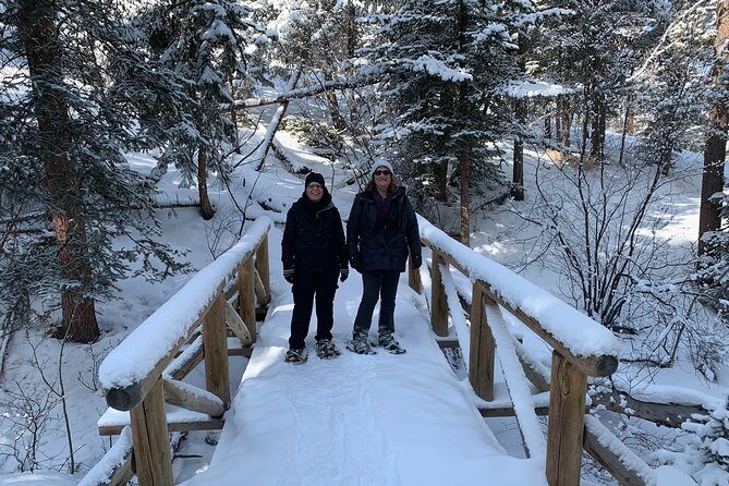 Snowshoeing Adventure in the Rocky Mountains Close to Denver - The Guided Trail Walk: Meadows, Pines, and Winter Technique