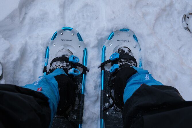 Snowshoeing in Rocky Mountains - Snowshoes vs Microspikes: Why the Choice Changes Your Comfort